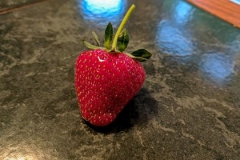 flower strawberry